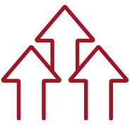 Business Growth Assessment ICON