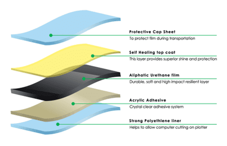 fig 2 61f202359f84a830fa8c1aff PPF Graphic p 500 1