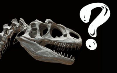 Salt Spray Testing: Dinosaur or Foundational Benchmark?