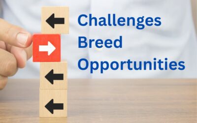 The ChemQuest Group Newsletter – November/December 2025