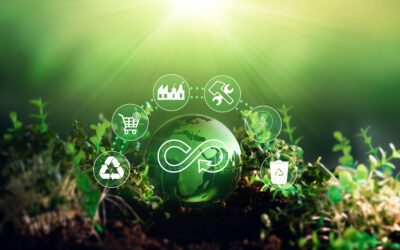 Industry Q&A: Sustainability