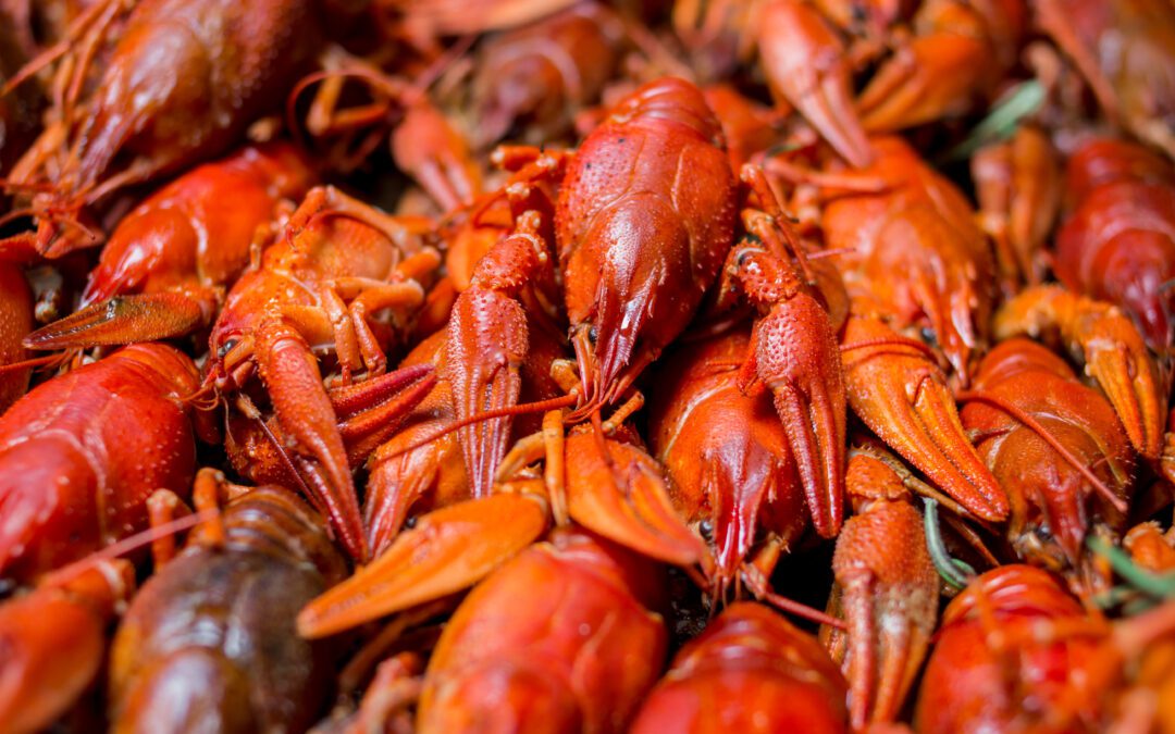 Chitosan: A Next-Generation Functional Material for Paint and Coatings Innovation