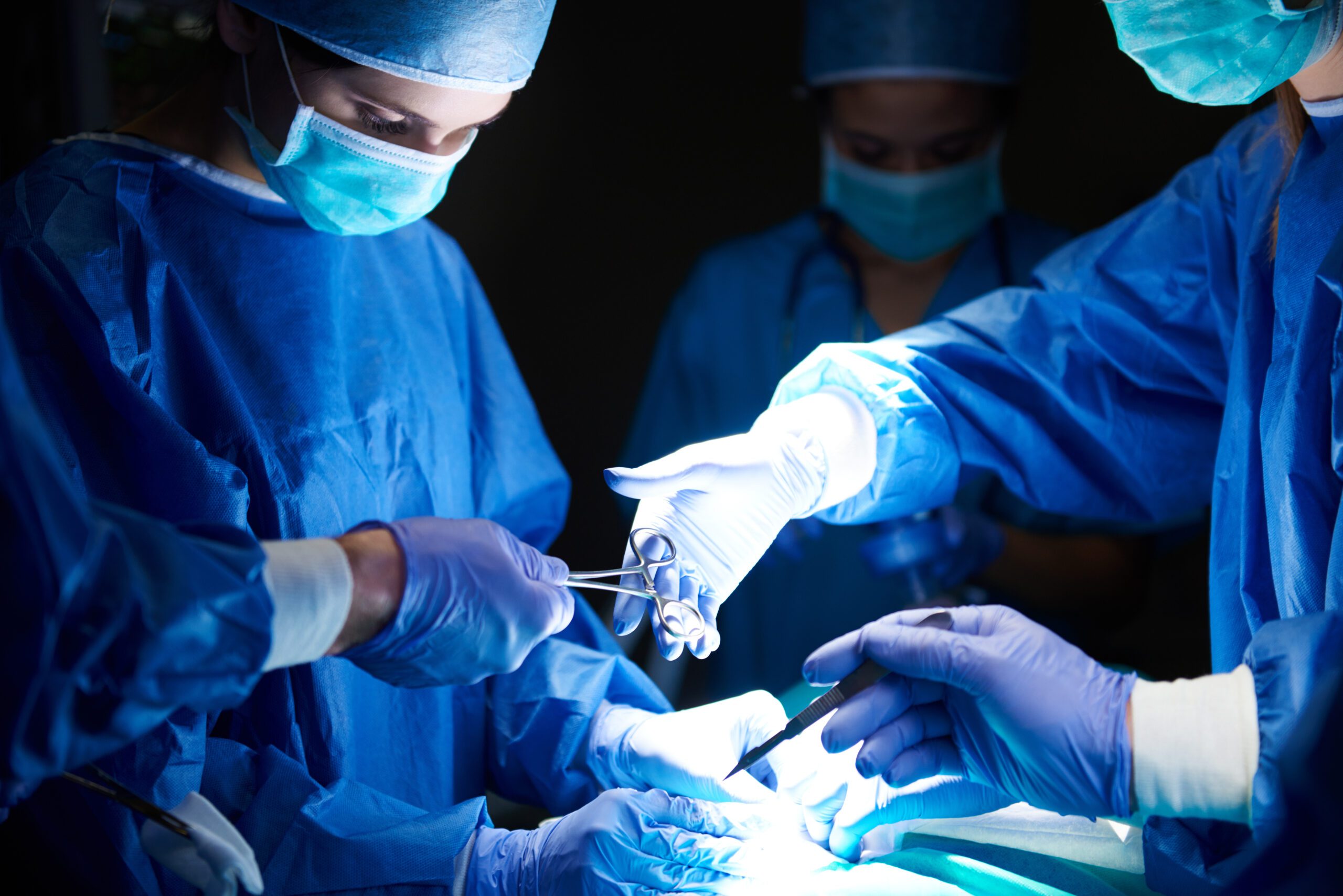 biomed AdobeStock 135536895 scaled
